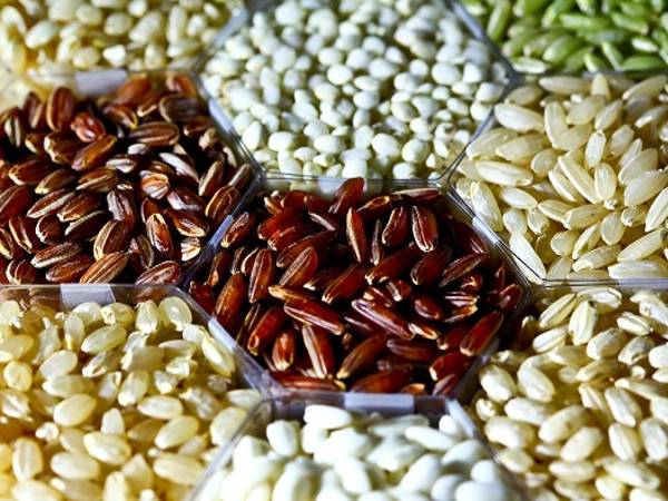  ಯಾವೆಲ್ಲ ವಸ್ತುಗಳ ಮೇಲೆ ಜಿಎಸ್‌ಟಿ ಇಲ್ಲ?