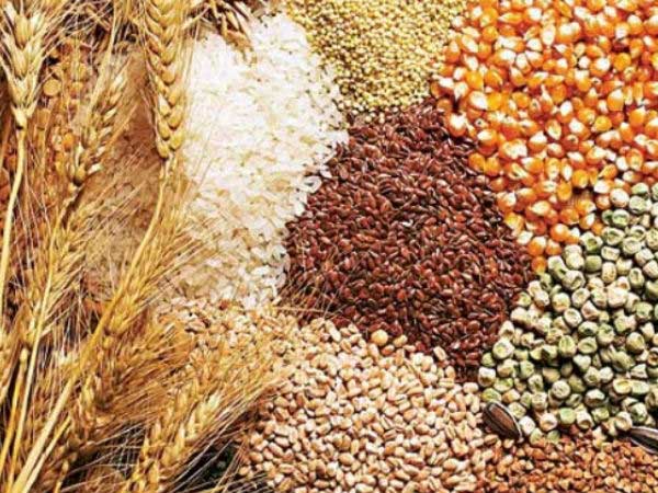  ಗೋಧಿ, ಖಾದ್ಯ ತೈಲ ದರ