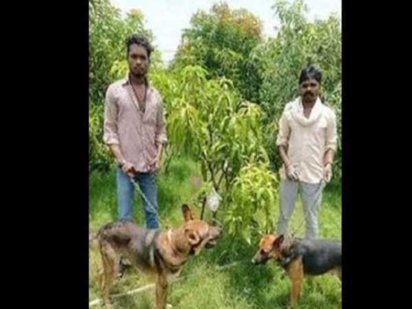  ಈ ಮಾವಿನ ಹಣ್ಣು ಯಾಕಿಷ್ಟು ದುಬಾರಿ?