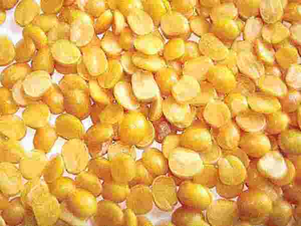  ಗೋಧಿ, ಖಾದ್ಯ ತೈಲ ದರ