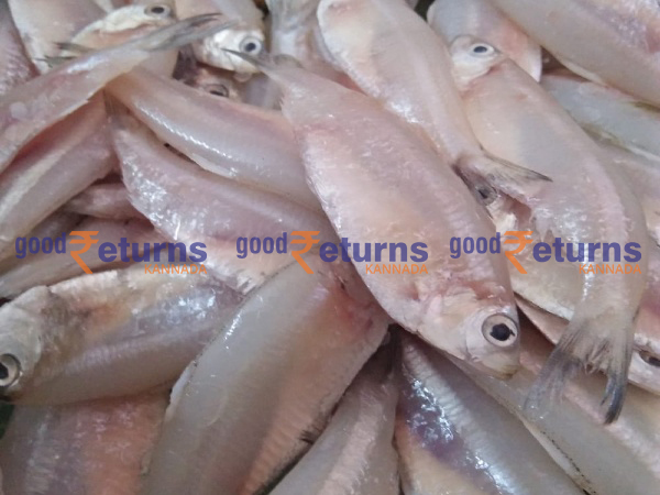  ಮಂಗಳೂರು ಬಂದರಿನಲ್ಲಿ ಮೀನುಗಳ ದರ: ಸೆಪ್ಟೆಂಬರ್ 9 (ಕೆಜಿ)