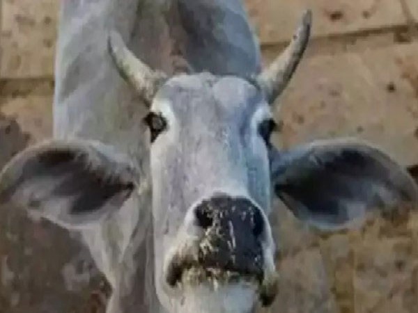  ತೆರಿಗೆಯಿಂದ ಏನು ಲಾಭ?