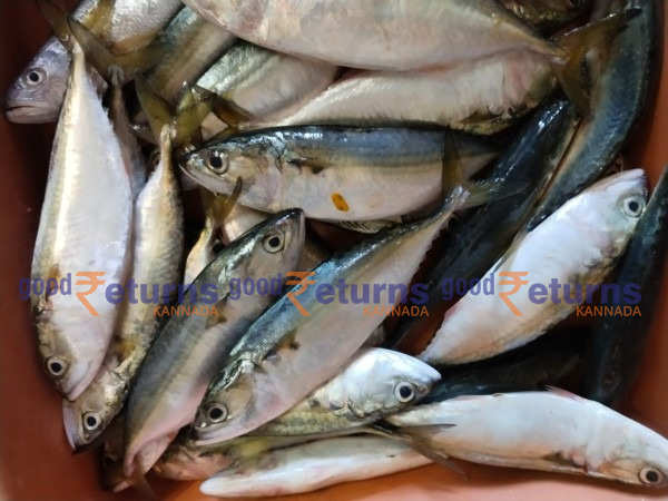  ಮಂಗಳೂರು ಬಂದರಿನಲ್ಲಿ ಮೀನುಗಳ ದರ: ಅಕ್ಟೋಬರ್ 25 (ಕೆಜಿ)