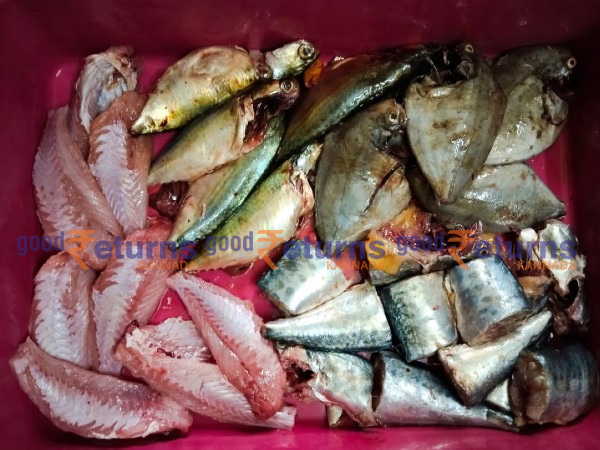  ಮಂಗಳೂರು ಬಂದರಿನಲ್ಲಿ ಮೀನುಗಳ ದರ: ಅಕ್ಟೋಬರ್ 23 (ಕೆಜಿ)