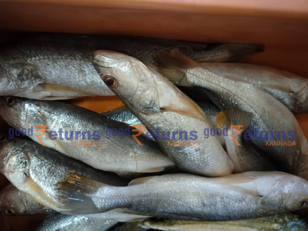 ಇತರೆ ಮೀನುಗಳ ದರ