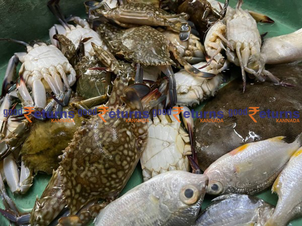  ಮಂಗಳೂರು ಬಂದರಿನಲ್ಲಿ ಮೀನುಗಳ ದರ: ಡಿಸೆಂಬರ್ 20 (ಕೆಜಿ)