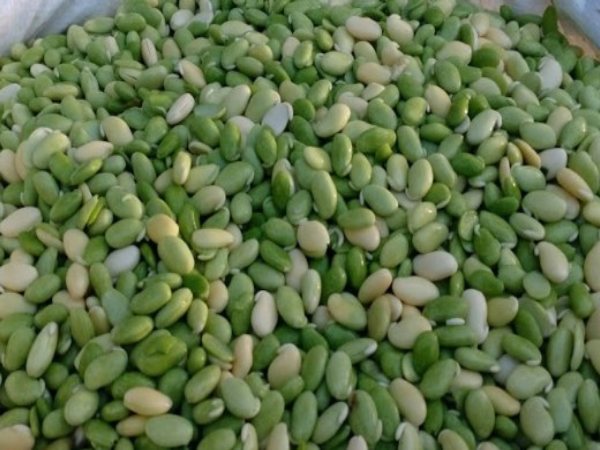 Avarebele Mela 2023 ಎನ್ನುವ ಬಹುದೊಡ್ಡ ವಹಿವಾಟು! Avarebele Mela 2023 ಎನ್ನುವ ಬಹುದೊಡ್ಡ ವಹಿವಾಟು!