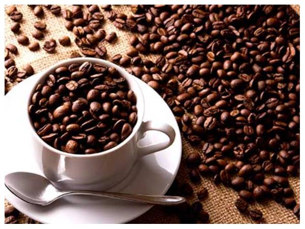  ಕಾಫಿ ಧಾರಣೆ