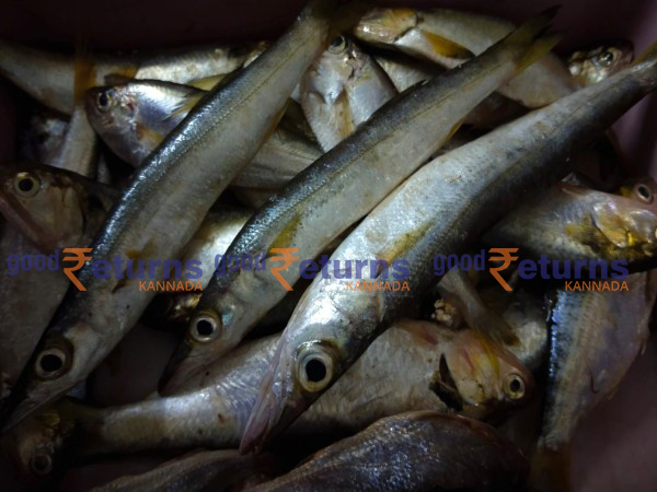  ಮಂಗಳೂರು ಬಂದರಿನಲ್ಲಿ ಮೀನುಗಳ ದರ: ಜನವರಿ 07 (ಕೆಜಿ)