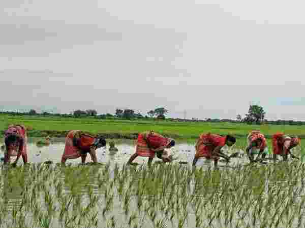  ಇಕೆವೈಸಿ ಮಾಡಿದರೂ ಹಣ ಬಂದಿಲ್ಲವೇ?
