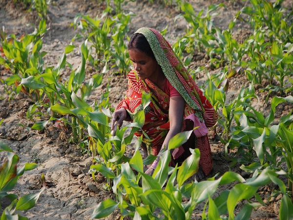  ಯೋಜನೆಯ ಬಗ್ಗೆ ಪ್ರಮುಖ ಮಾಹಿತಿ 