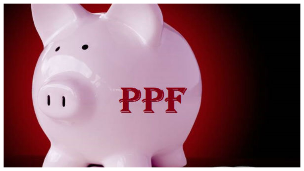ತಿಂಗಳ 5ನೇ ತಾರೀಖಿಗೂ ಮುನ್ನ ಪಿಪಿಎಫ್ ಹೂಡಿಕೆಯಿಂದ ಈ ಪ್ರಯೋಜನ ತಿಂಗಳ 5ನೇ ತಾರೀಖಿಗೂ ಮುನ್ನ ಪಿಪಿಎಫ್ ಹೂಡಿಕೆಯಿಂದ ಈ ಪ್ರಯೋಜನ