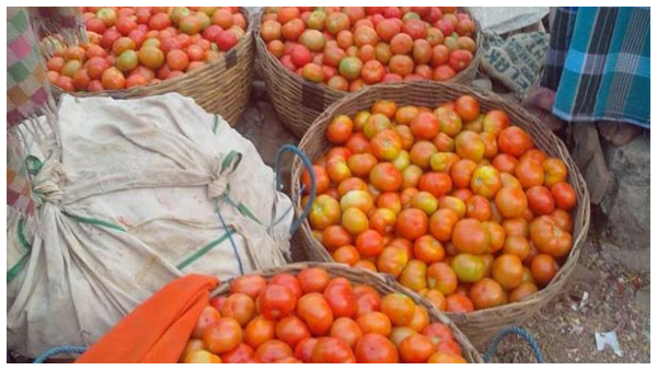 ಗ್ರಾಹಕರೇ ಗಮನಿಸಿ, ಕೆಜಿಗೆ 120 ರೂಪಾಯಿಗೆ ಏರಿದೆ ಟೊಮೆಟೊ ದರ!