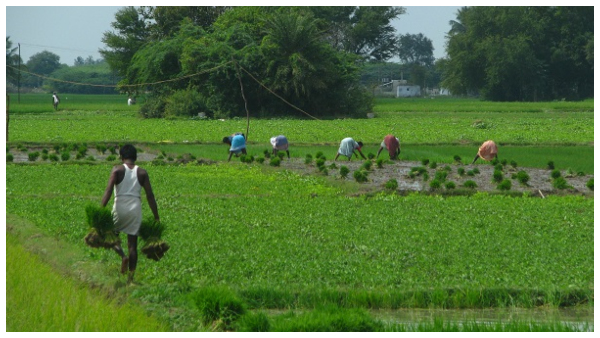  ಪಿಎಂ ಕಿಸಾನ್ ಮೊತ್ತ ಬಿಡುಗಡೆ, ನಿಮಗೆ ಲಭ್ಯವಾಗಿದೆಯೇ ಚೆಕ್ ಮಾಡಿ