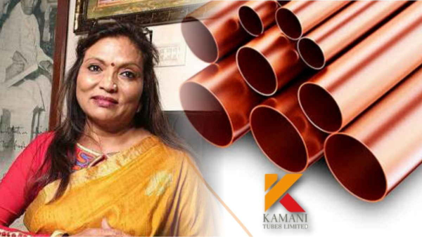 ಬಾಲ್ಯ ವಿವಾಹವಾದರೂ 900 ಕೋಟಿ ಕಂಪೆನಿ ಒಡತಿ ಇವರು 