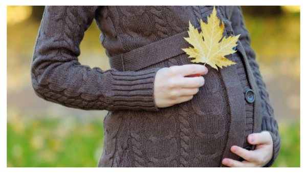  ಸಮಗ್ರ ಮಾತೃ ಆರೋಗ್ಯ ಪಾಲನೆ ಯೋಜನೆ, ಯಾವೆಲ್ಲ ಪ್ರಯೋಜನವಿದೆ ತಿಳಿಯಿರಿ