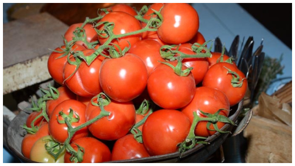 ದರ ಏರುತ್ತಿದ್ದಂತೆ ಮೆಕ್‌ಡೊನಾಲ್ಡ್ಸ್ ಮೆನ್ಯೂವಿನಿಂದ ಟೊಮೆಟೊ ಕಣ್ಮರೆ!