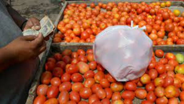 ಟೊಮೆಟೋ ಬೆಳೆ ಅಲ್ಲಲ್ಲಿ ರೈತರಿಗೆ ಜಾಕ್​ಪಾಟ್, ಅಲ್ಲಲ್ಲಿ ನಷ್ಟ