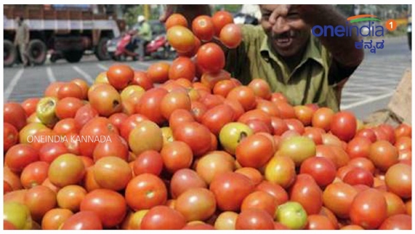 ರೈತನಿಗೆ ಬಂಪರ್‌: ಟೊಮೇಟೊ ಮಾರಿ 3 ಕೋಟಿ ಗಳಿಸಿದ 