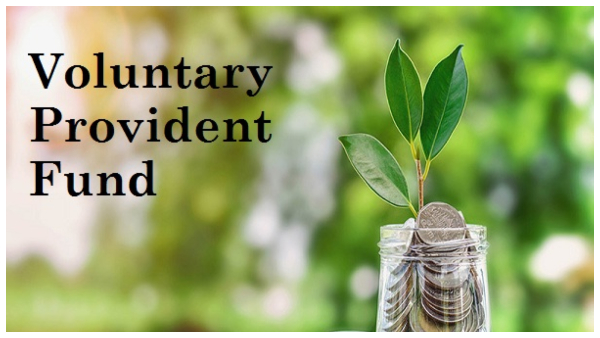  ವಿಪಿಎಫ್‌ನಲ್ಲಿ ಹೂಡಿಕೆ ಮಾಡುವುದು ಉತ್ತಮ ಆಯ್ಕೆ ಯಾಕೆ?