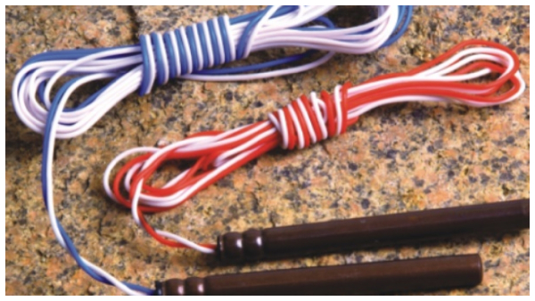  ಎಲೆಕ್ಟ್ರಿಕ್ ಡಿಟೋನೇಟರ್‌ಗಳ ಮೇಲೆ ನಿಷೇಧ ವಿಧಿಸಿದ ಸರ್ಕಾರ