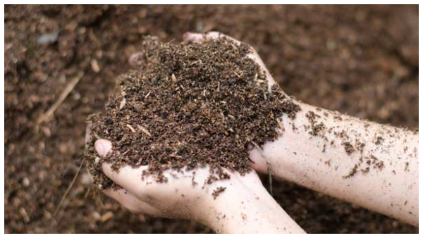  ರಸಗೊಬ್ಬರಗಳಿಗೆ 22,303 ಕೋಟಿ ರೂಪಾಯಿ ಸಬ್ಸಿಡಿಗೆ ಕೇಂದ್ರ ಅಸ್ತು 