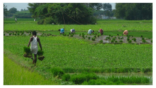 ಚುನಾವಣೆಗೂ ಮುನ್ನ ಪಿಎಂ ಕಿಸಾನ್ ಮೊತ್ತ 8000 ರೂಪಾಯಿಗೆ ಏರಿಕೆ? 