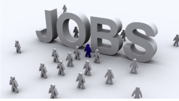  FY2024ರಲ್ಲಿ 40,000 ಫ್ರೆಶರ್‌ಗಳನ್ನು ನೇಮಿಸಿಕೊಳ್ಳಲಿದೆ ಟಿಸಿಎಸ್