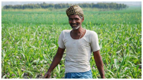  ದೀಪಾವಳಿಗೂ ಮುನ್ನ ಪಿಎಂ ಕಿಸಾನ್ ಕಂತು ಬಿಡುಗಡೆ, ಇಕೆವೈಸಿ ಮಾಡಿ