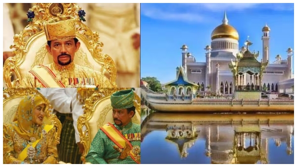 ಒಂದಲ್ಲ, ಎರಡಲ್ಲ 604 ಕಾರುಗಳನ್ನು ಹೊಂದಿದ್ದಾರೆ ಈ ವ್ಯಕ್ತಿ! ಒಂದಲ್ಲ, ಎರಡಲ್ಲ 604 ಕಾರುಗಳನ್ನು ಹೊಂದಿದ್ದಾರೆ ಈ ವ್ಯಕ್ತಿ!