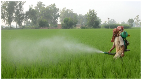  ಪಿಎಂ ಕಿಸಾನ್ ಮೊತ್ತ 12,000 ರೂಪಾಯಿಗೆ ಏರಿಕೆ, ಯಾರು ಅರ್ಹರು?