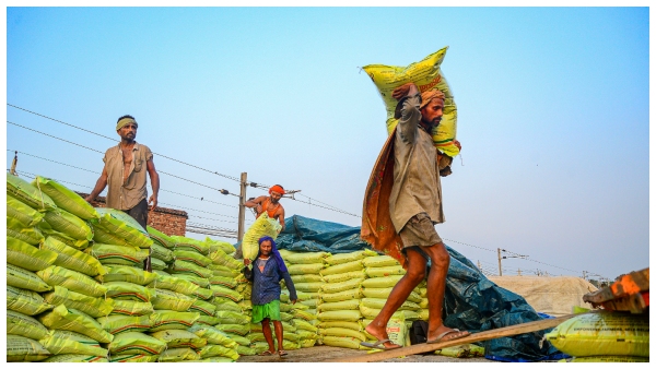 Labour Card: ವಿಶೇಷ ಕಾರ್ಮಿಕ ಕಾರ್ಡ್‌ಗೆ ಅರ್ಜಿ ಸಲ್ಲಿಸುವುದು ಹೇಗೆ?