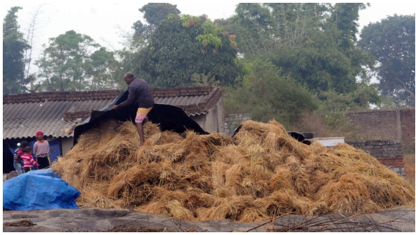  ಕರ್ನಾಟಕದಲ್ಲಿ ಅಕ್ಕಿ ಬೆಲೆ ಮತ್ತಷ್ಟು ಏರಿಕೆಯಾಗುತ್ತಾ?