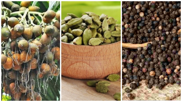  ಜನವರಿ 1ರ ಅಡಿಕೆ, ಕಾಫಿ, ಮೆಣಸು, ಏಲಕ್ಕಿ ಪೇಟೆ ಧಾರಣೆ