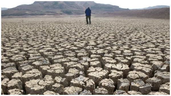  ಬರಗಾಲ: ಶೂನ್ಯ ಬಡ್ಡಿಯಲ್ಲಿ 19.97 ಲಕ್ಷ ರೈತರಿಗೆ ಕೃಷಿ ಸಾಲ