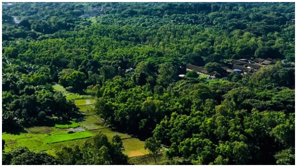 ಟಾಟಾ, ಅರಣ್ಯ ಭೂಮಿ ಗುತ್ತಿಗೆದಾರರು ಸರ್ಕಾರಕ್ಕೆ 2,000 ಕೋಟಿ ಬಾಕಿ!