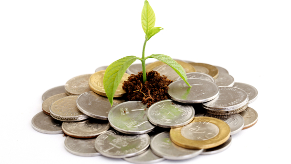 ಮನೆಯಲ್ಲಿದ್ದುಕೊಂಡೇ ಹಣ ಗಳಿಸುವ ರಹದಾರಿಗಳು ಇವು