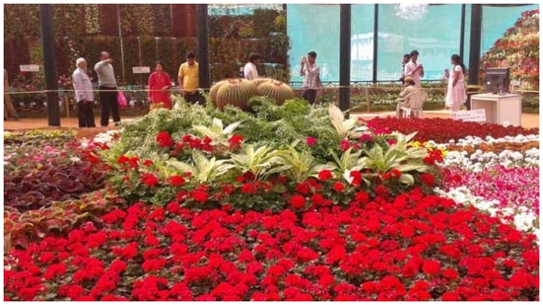  ಲಾಲ್‌ಬಾಗ್ ಪುಷ್ಪ ಪ್ರದರ್ಶನ ನೋಡಲು ಬಂದ ಜನರೆಷ್ಟು ಗೊತ್ತಾ?!