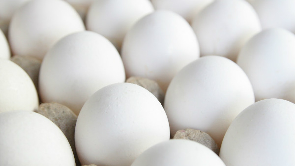 ಮೊಟ್ಟೆ ಖರೀದಿಸಲು ಹೋಗಿ 48,000 ರೂ. ಕಳೆದುಕೊಂಡ ಮಹಿಳೆ 