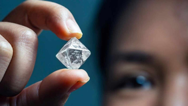  ಇದು ಶೀಘ್ರದಲ್ಲೇ ಭಾರತದ ಮಾರುಕಟ್ಟೆಗೆ ಕಾಲಿಡಲಿದೆ ಟರ್ಕಿ ಬ್ರ್ಯಾಂಡ್ 