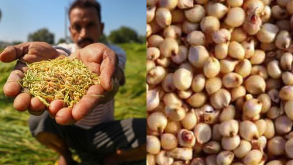  ನೀತಿ ಆಯೋಗದ ಅಂಕಿ ಅಂಶಗಳಿಂದ ಬಹಿರಂಗ 