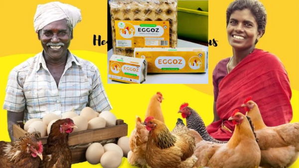 ಒಂದು ರೂಪಾಯಿ ಇಲ್ಲದೆ ನೂರು ಕೋಟಿ ದುಡಿದ ಸ್ನೇಹಿತರು 