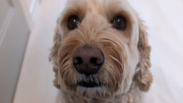 ಸುಂದರ್‌ ಪಿಚೈ ವರ್ಕ್‌ ಪಾರ್ಟನರ್‌ ಪೋಟೋ ಬಹಿರಂಗ 