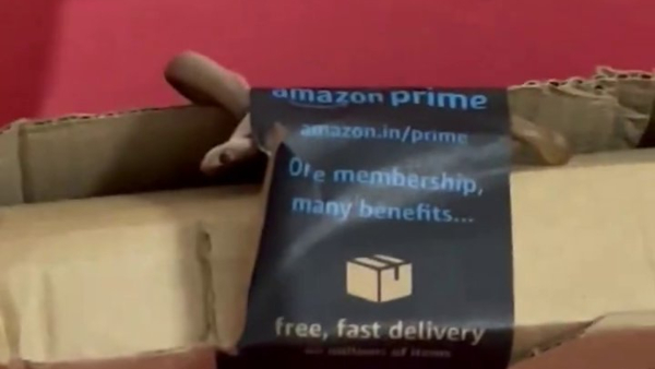 ಅಮೆಜಾನ್ ಬಾಕ್ಸ್ನಲ್ಲಿ ಬಂತು ನಾಗರಹಾವು ಅಮೆಜಾನ್ ಬಾಕ್ಸ್ನಲ್ಲಿ ಬಂತು ನಾಗರಹಾವು