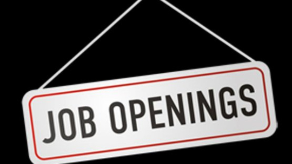 10,000 ಸರ್ಕಾರಿ ಉದ್ಯೋಗಗಳಿಗೆ ಅರ್ಜಿ ಆಹ್ವಾನ 