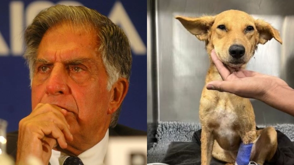 ರಕ್ತಕ್ಕೆ ಮನವಿ ಮಾಡಿದ ಖ್ಯಾತ ಉದ್ಯಮಿ ರತನ್‌ ಟಾಟಾ 