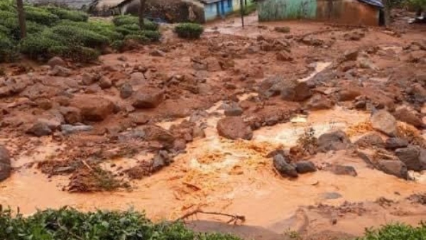 ವಯನಾಡು ಭೂಕುಸಿತದಲ್ಲಿ 41 ಮಂದಿ ಸಾವು 