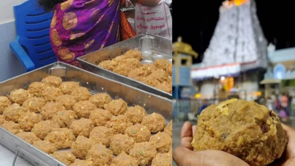  ಲಡ್ಡು ಮಾರಾಟದಿಂದ ಟಿಟಿಡಿಗೆ ದಾಖಲೆಯ ಆದಾಯ