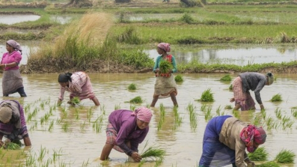 ಉದ್ಯಮಿಗಳಾದ ಮಹಿಳಾ ಕೃಷಿ ಕಾರ್ಮಿಕರು!