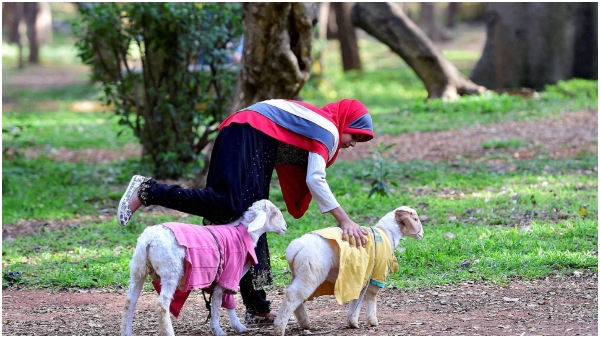  ಬೆಂಗಳೂರಿನ ಈ ಭಾಗದಲ್ಲಿ ಎರಡನೇ ಕಬ್ಬನ್ ಪಾರ್ಕ್ ನಿರ್ಮಾಣ 